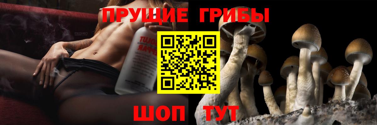 Галлюциногенные грибы прущие грибы  цена   Горно-Алтайск  Вход с VPN 